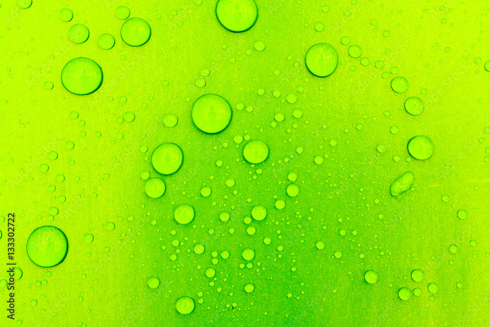 water drops on a color background
