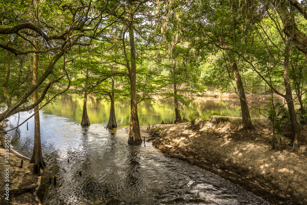 Suwannee River Early Morning Light Suwannee River Early Morning Light