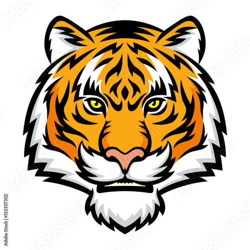 Fototapeta Naklejka Na Ścianę i Meble -  Tiger
