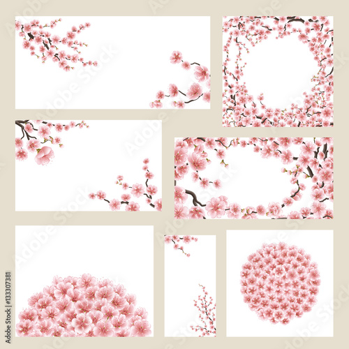 Greeting cards set with sakura. EPS 10