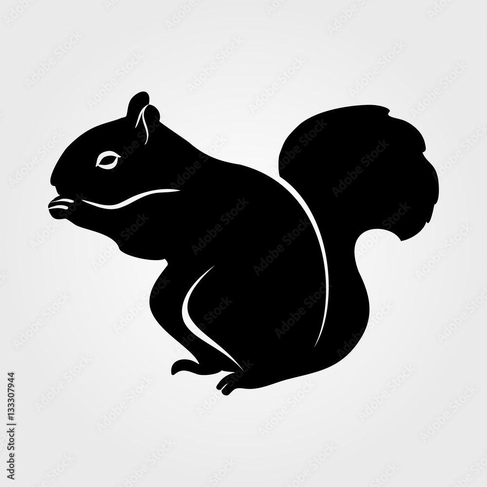 Squirrel icon on a white background Squirrel icon on a white background