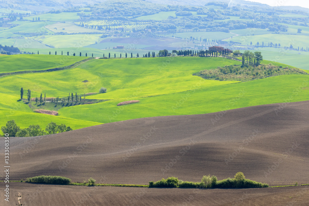 New sown fields in an Italian rural landscape