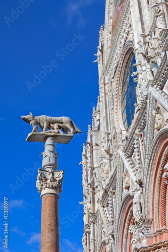 Capitoline she-wolf and detail of facade, Cathedral af Santa Maria Assunta, Siena, Tuscany, Italy