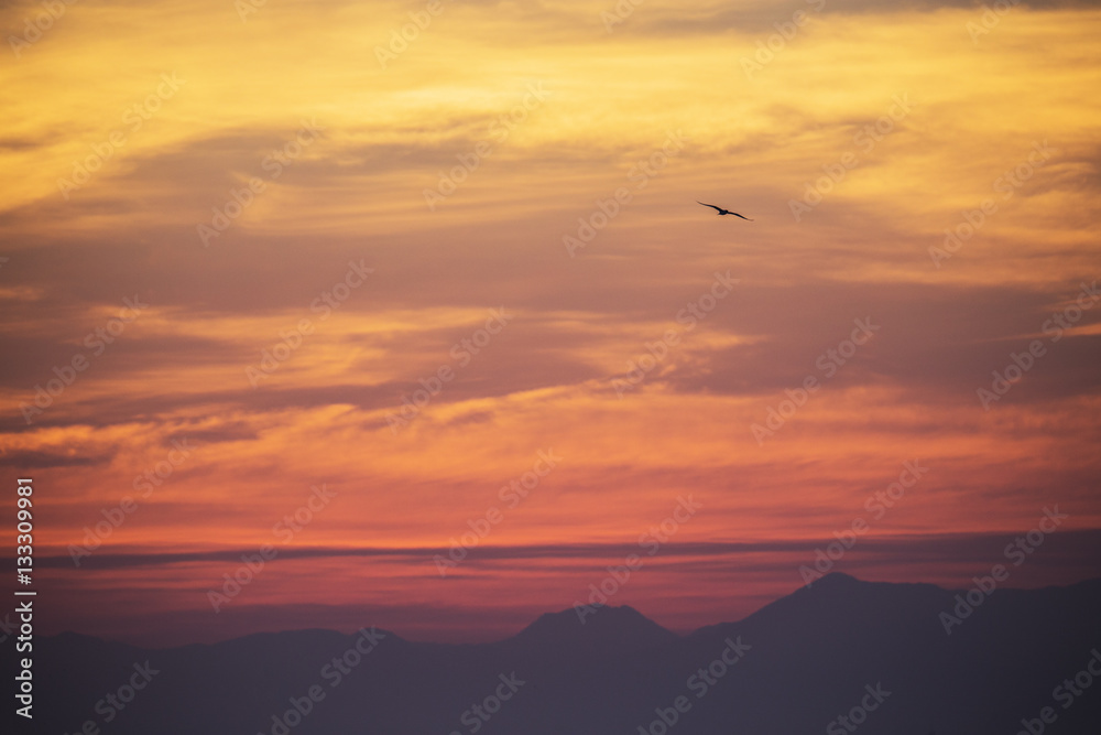 Sunset Sunset