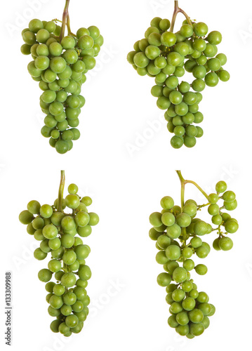 bunch of unripe green grapes. isolated on white background