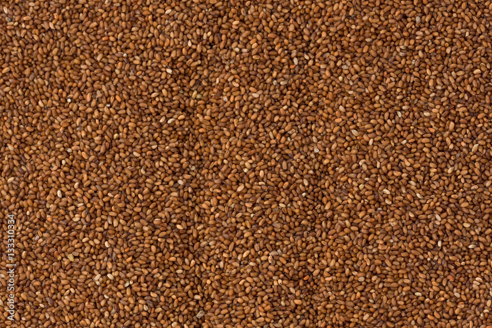 Brown Teff Grains