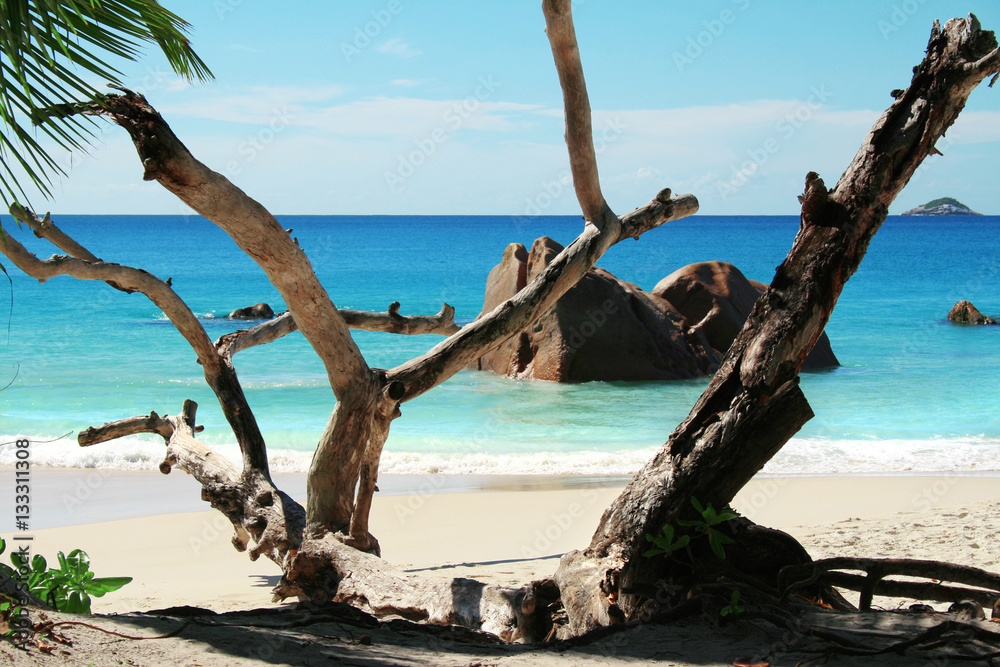 strand auf den seychellen