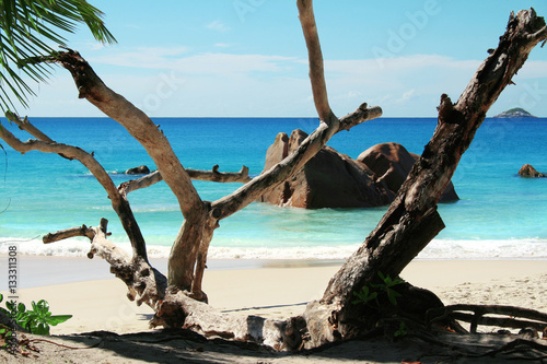 strand auf den seychellen