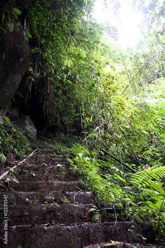 staircase in Bali rainforest