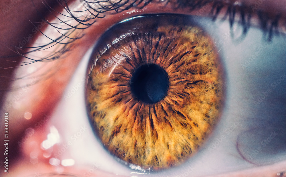Macro pupil retina human colse eye photo - obrazy, fototapety, plakaty 