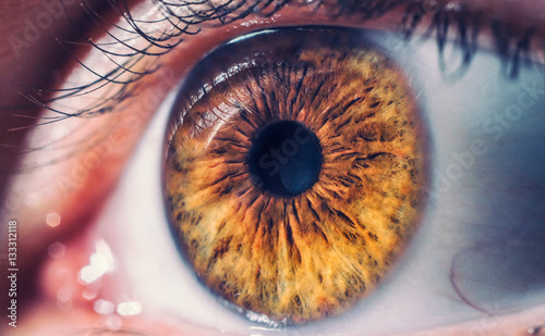 Macro pupil retina human colse eye photo