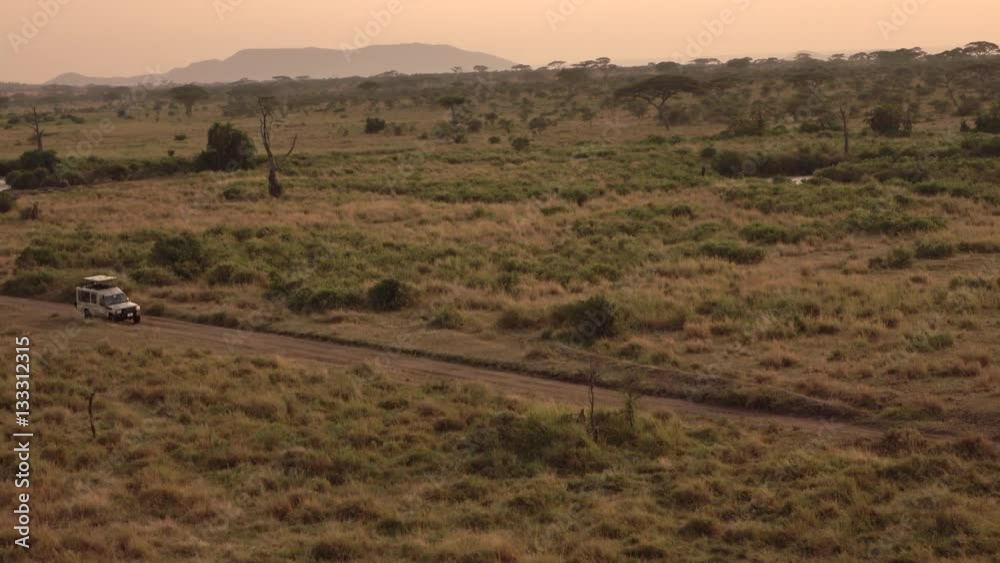 CLOSE UP: Safari vehicle full of tourists on game drive in Serengeti at dawn CLOSE UP: Safari vehicle full of tourists on game drive in Serengeti at dawn