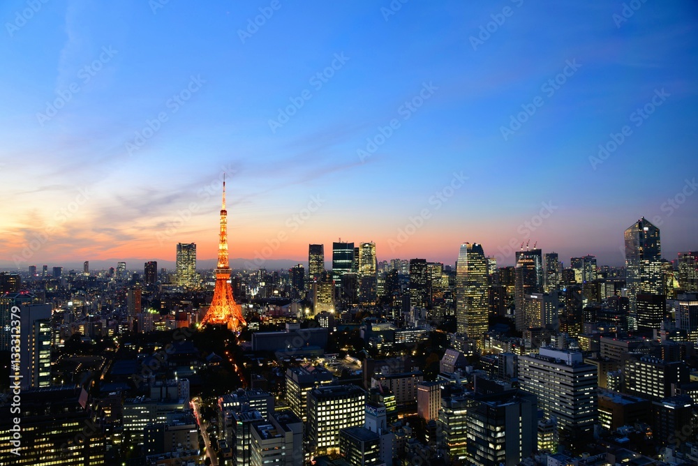 Fototapeta premium Krajobraz Tokio