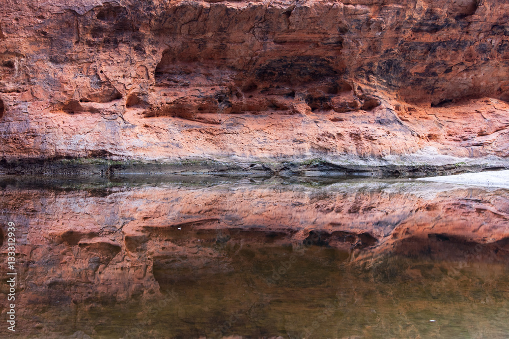 Reflections on a pond in Purnululu NP