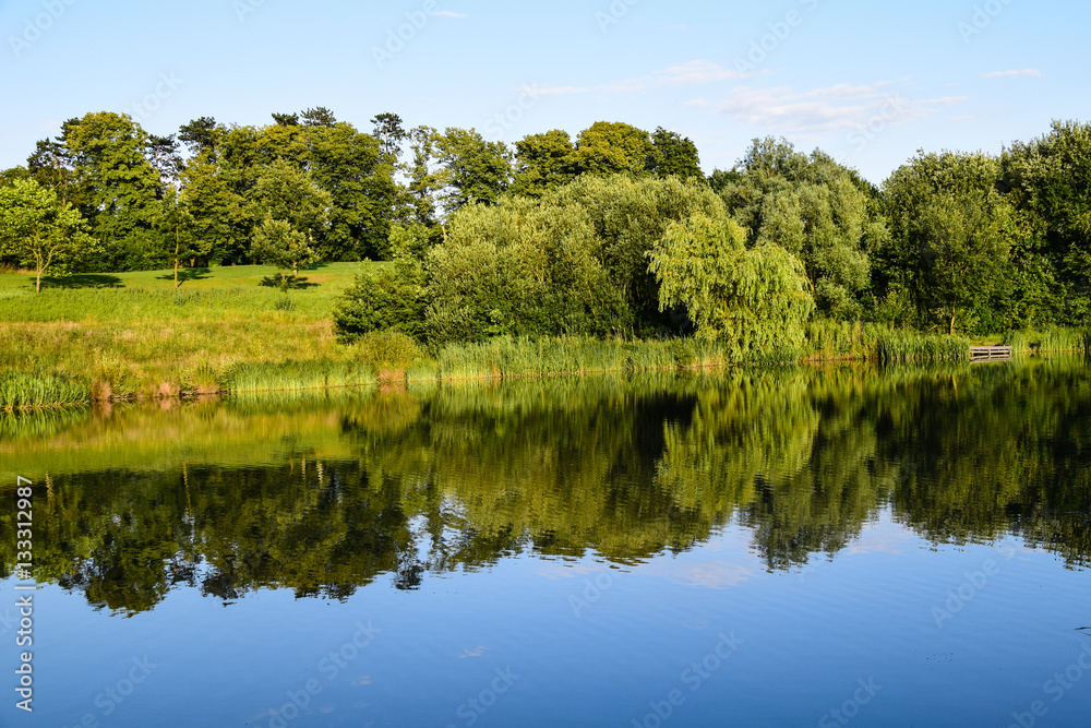 Forest landscape reflecting in a lake Forest landscape reflecting in a lake