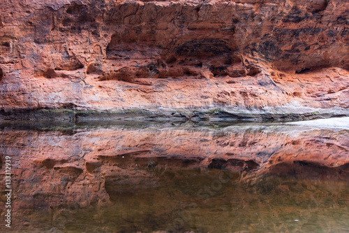 Reflections on a pond in Purnululu NP © OPJK