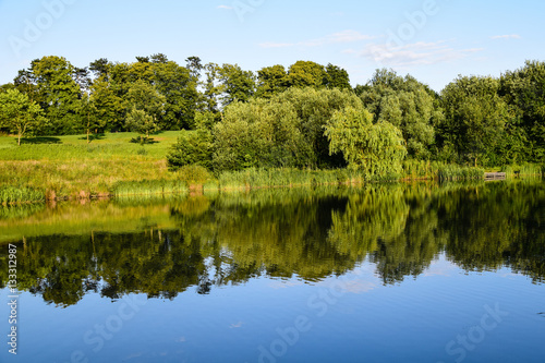 Forest landscape reflecting in a lake