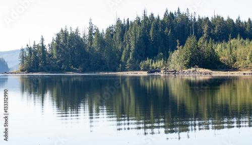 Reflections on an inlet on Vancouver Island