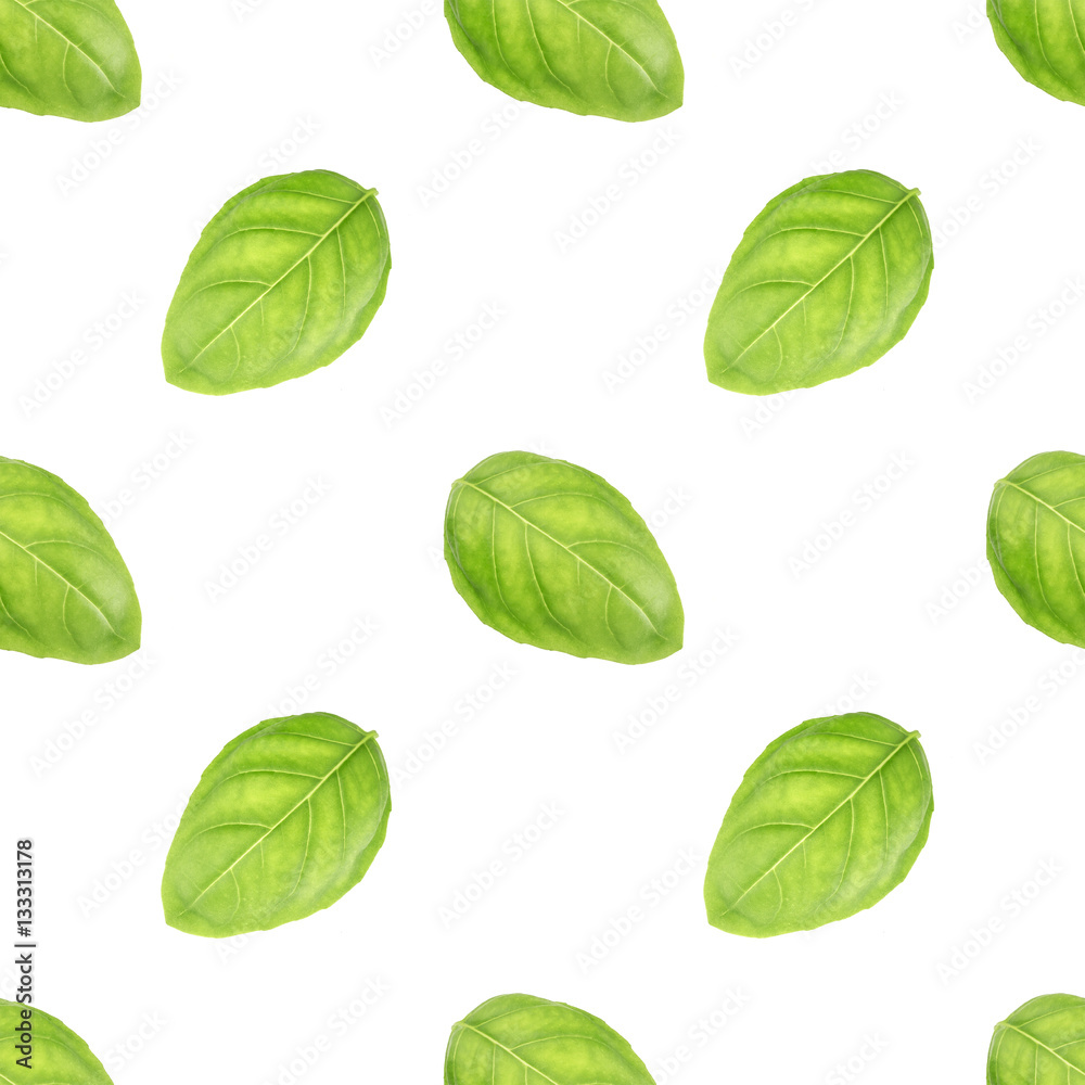 Basil leaf seamless pattern Basil leaf seamless pattern
