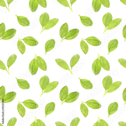 Basil leaf herb seamless pattern