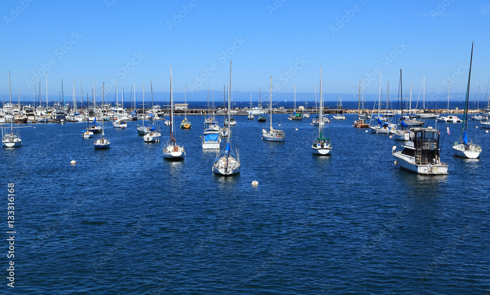 Obraz premium Dozens of boats are anchored at a marina in Monterey, California.