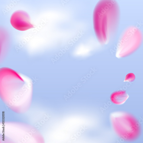 Falling pink petals in the blue sky background. Vector illustration.