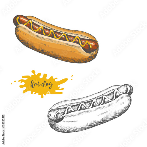 Hand-drawn Hot Dog. Doodle and in color. Sketch, engraving, hatching. Vector Design elements for menu or advertising.
