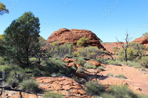 Landscape at the Kings Canyon in the Northern Territory of Australia