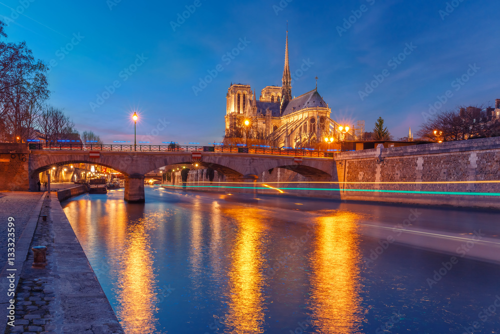 Fototapeta premium Cathedral of Notre Dame de Paris and bridge Pont de l'Archeveche, Archbishop's Bridge, as seen from Quai de la Tournelle during evening blue hour, Paris, France