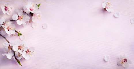 art spring background; fresh flower on blue background