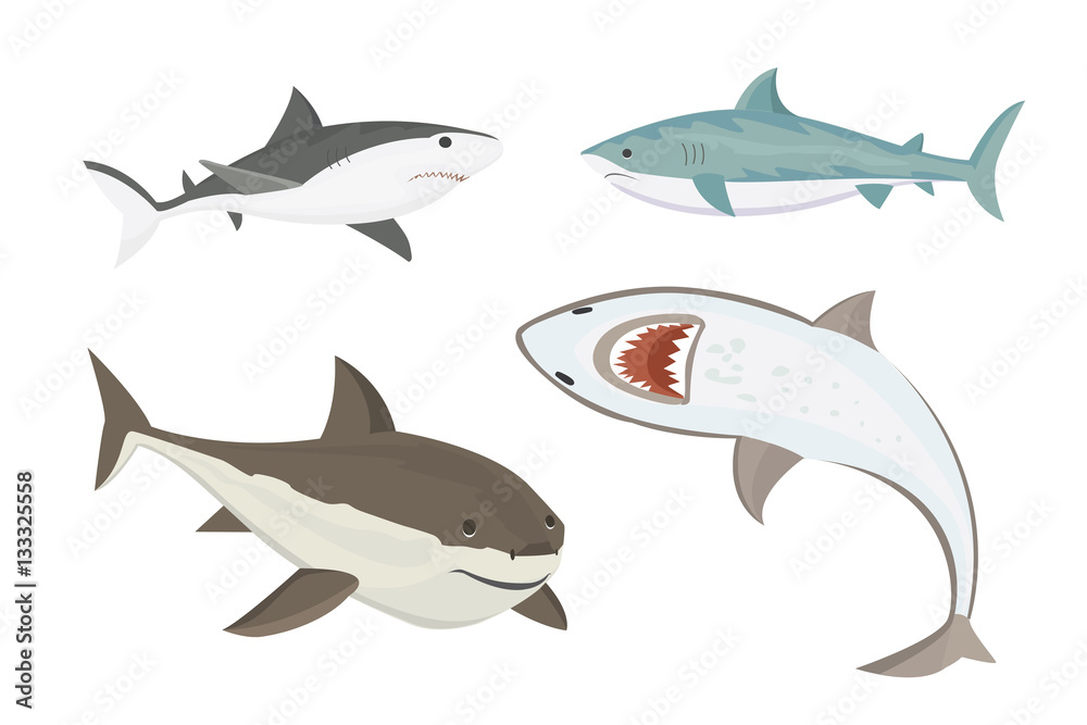 Fototapeta premium Vector shark character.