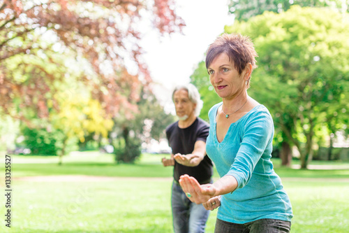 Bild auf Leinwand Senior Couple Doing Tai Chi In Park, Tuebingen, Germany