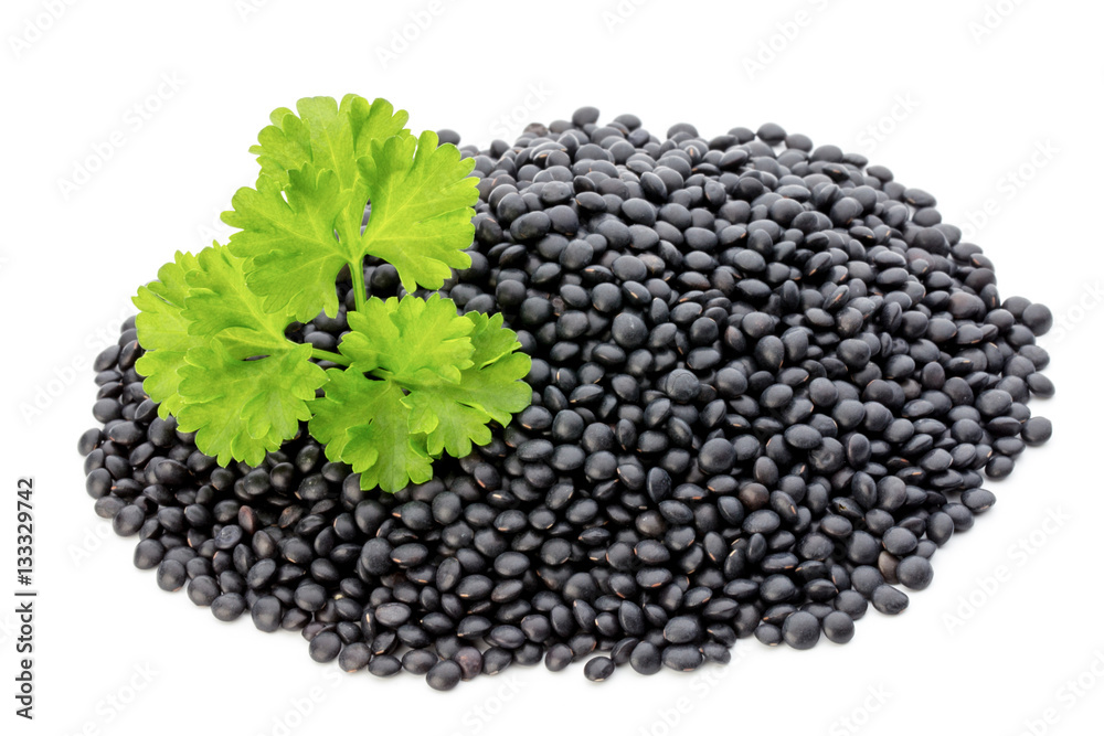 Lentin beluga. Black Lentins.Isolated on the white background.