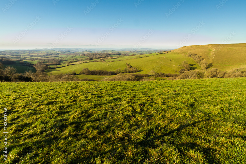 England Dorset country view