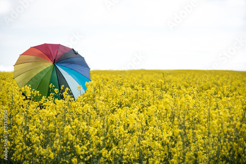 person with rainbow colored umbrella standing in yellow canola field 