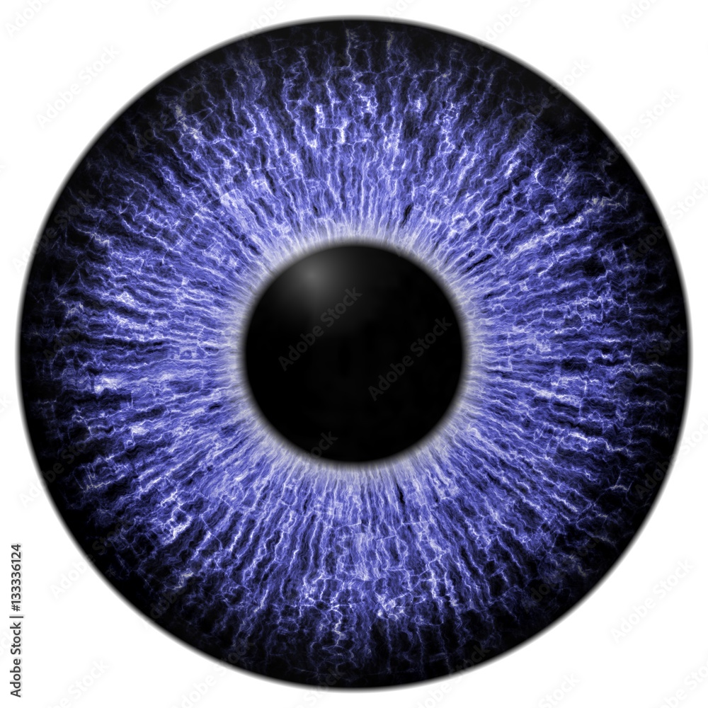 Sharp attractive deep eye texture 3D 12