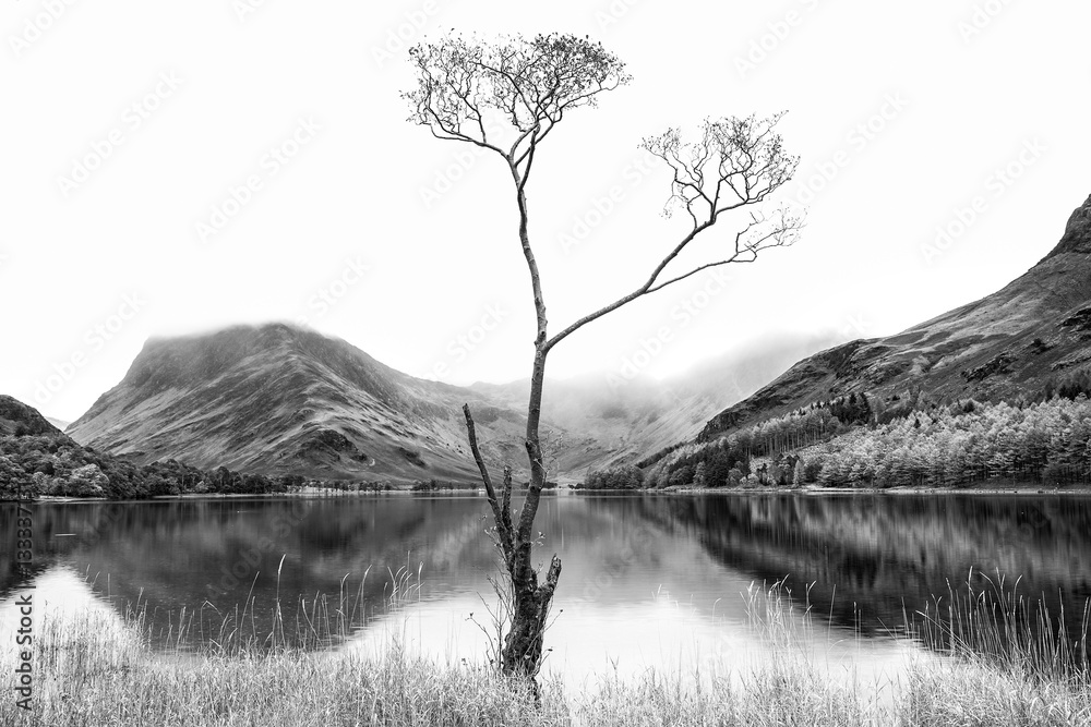 Ταπετσαρία Striking black and white high key landscape image of Lake Butter