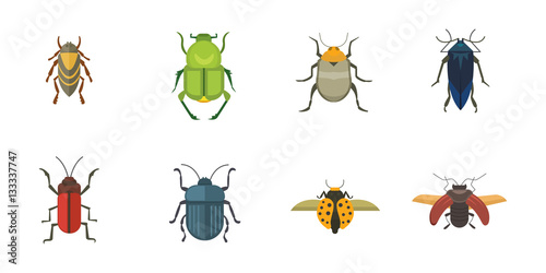 Set of insects flat style vector design icons. Collection nature beetle and zoology cartoon illustration photo