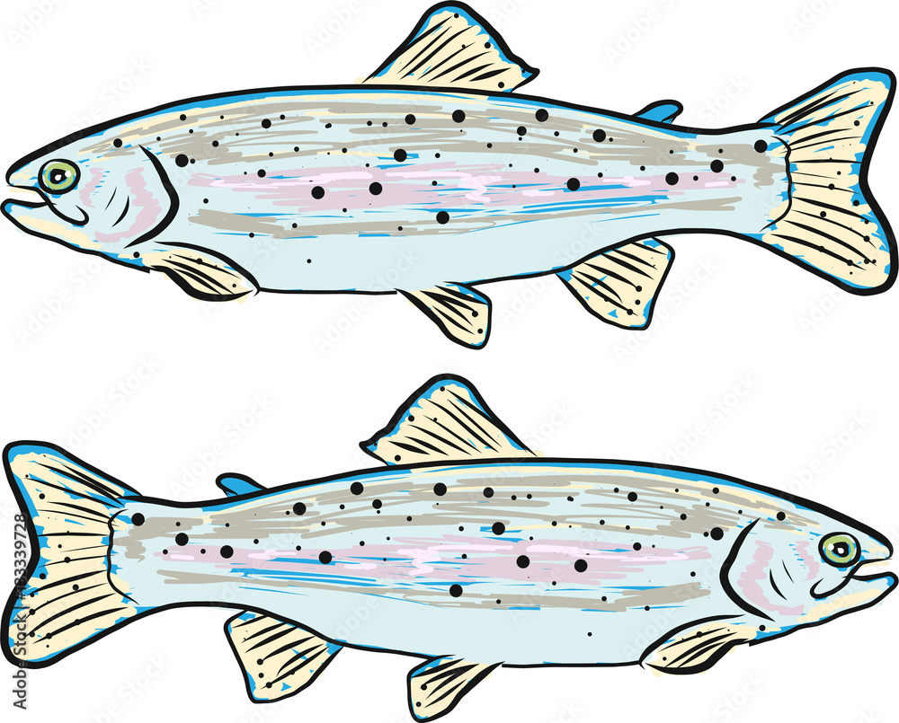 Trout Fish Clip Art