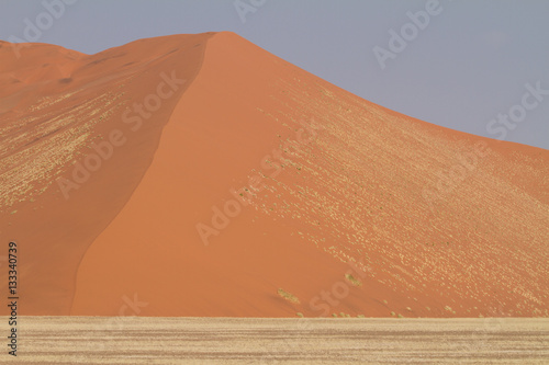 Dune et savane 2