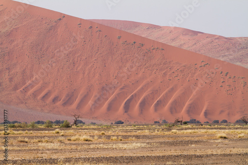 Dune plissée