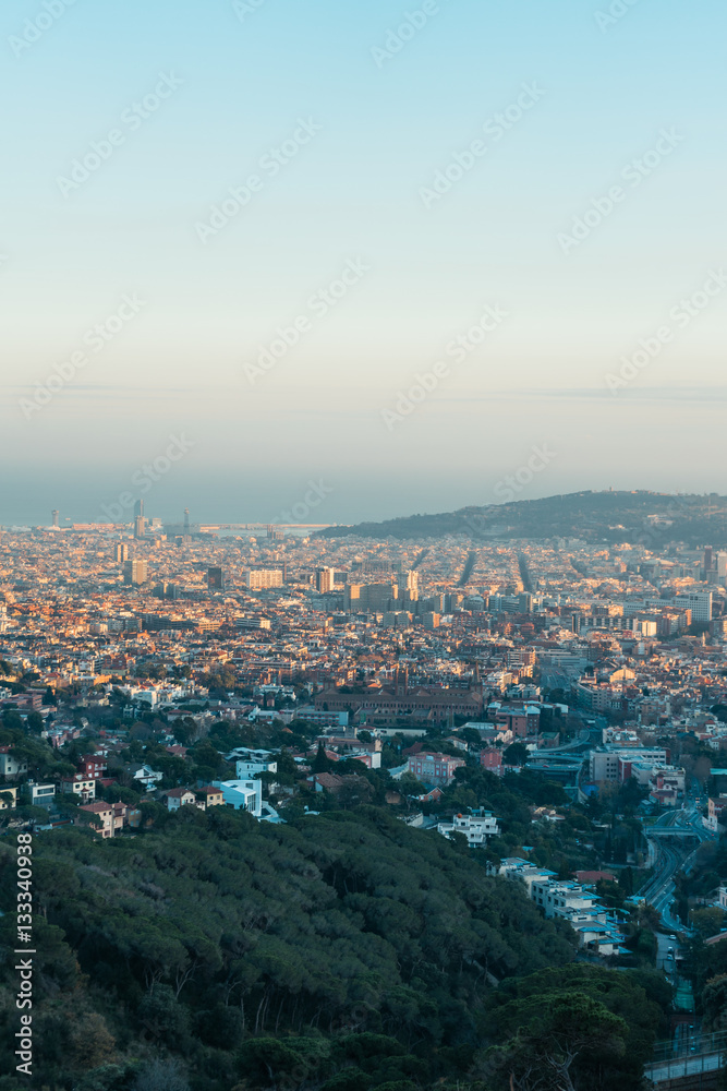 high formated picture of barcelona city in panoramic overview with clean colors