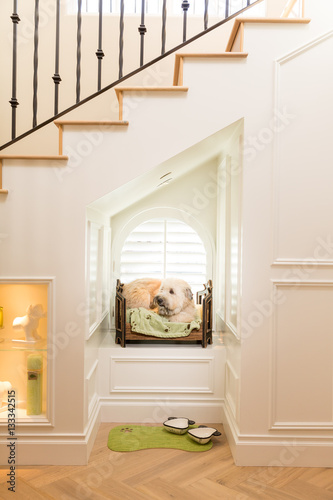 dog bed under staircase
