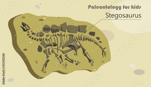 Paleontology for kids