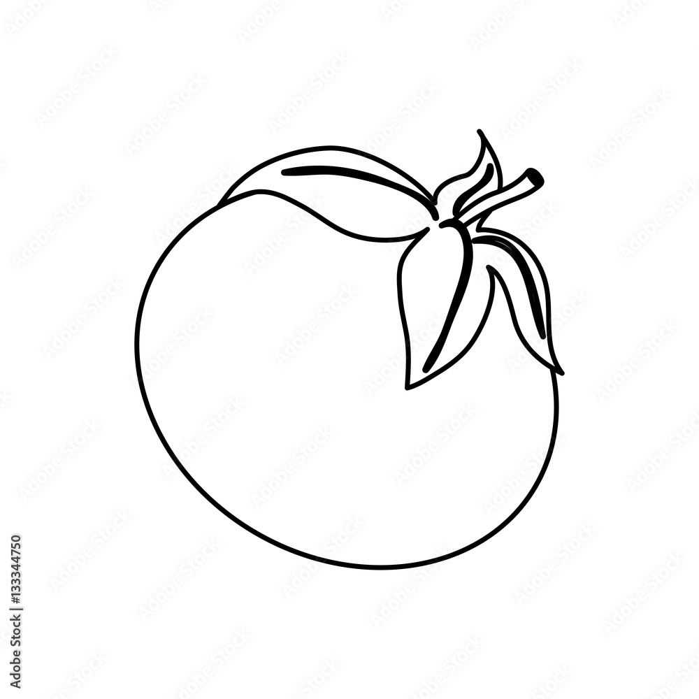 Fresh tomato vegetable icon vector illustration graphic design Fresh tomato vegetable icon vector illustration graphic design