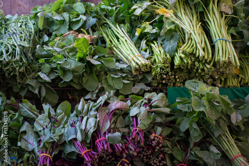 Asian Leafy Green Vegetables