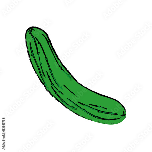Fresh cucumber vegetable icon vector illustration graphic design