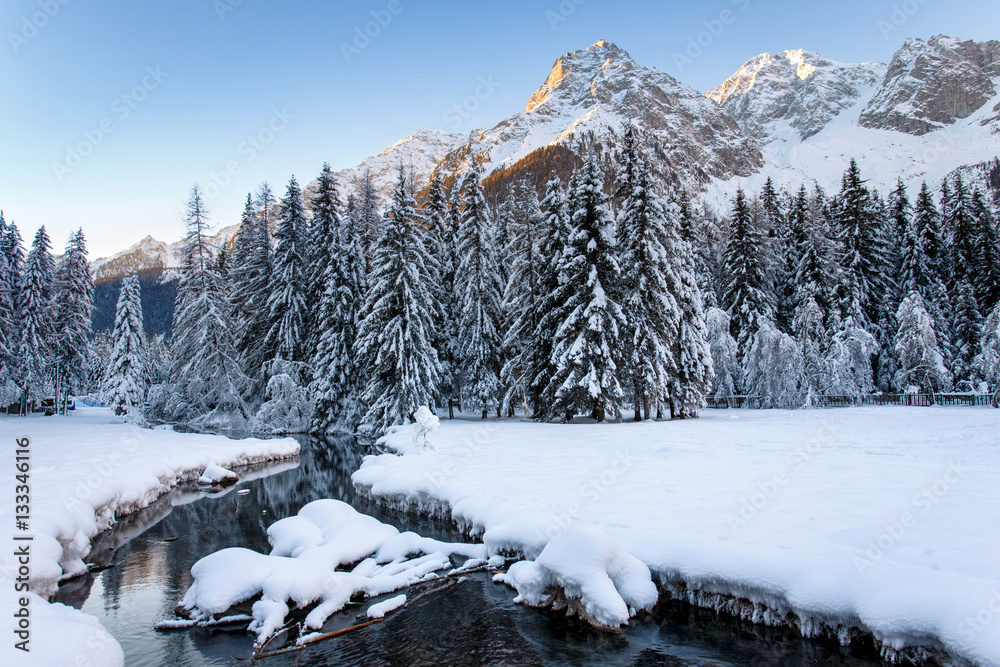 Winter landscape and winter forest near Antholz Lake, South Tirol, The Dolomites Alps, Italy.