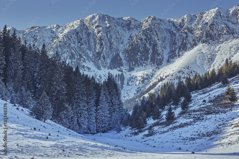 Winter alpine landscape in the valleys of Piatra Craiului mountains, Romania.