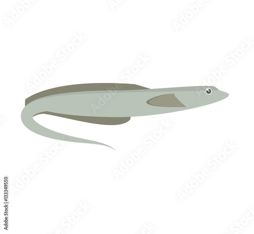 eel moray fish electric ocean vector illustration eps 10